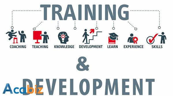 Develop a training plan for employees in the enterprise