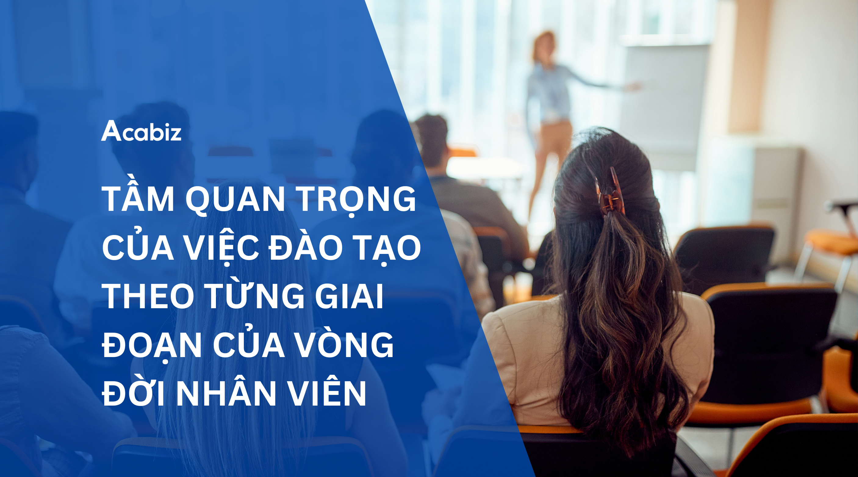 TẦM QUAN TRỌNG CỦA VIỆC ĐÀO TẠO THEO TỪNG GIAI ĐOẠN CỦA VÒNG ĐỜI NHÂN VIÊN